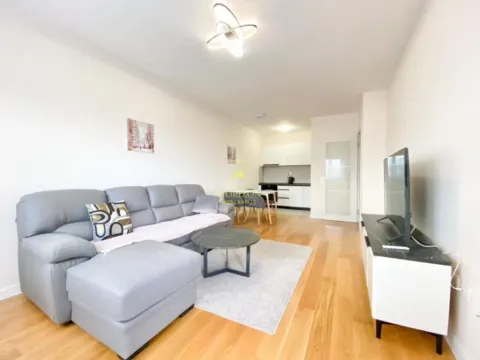 Izdavanje, jednosoban stan, 49m², Central Point, Podgorica