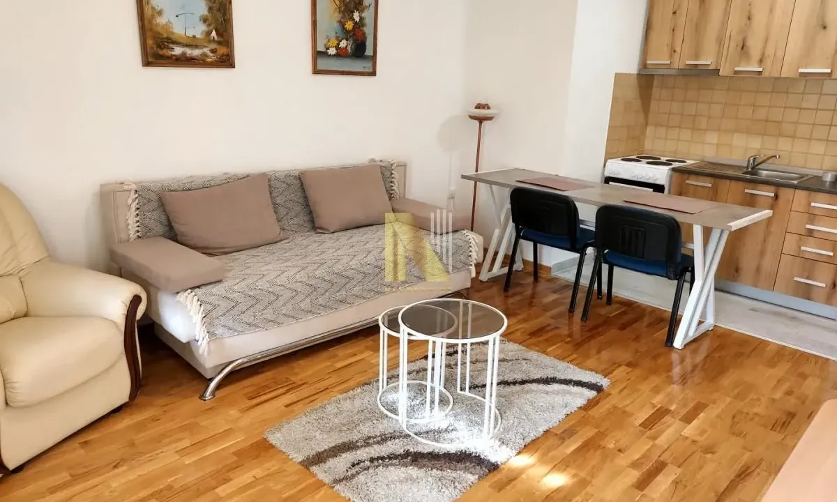 Izdavanje, jednosoban stan, 40m², Salajka, Novi Sad Sve Podlokacije