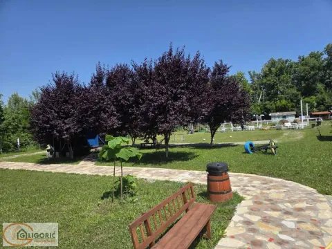 Prodaja, ugostiteljski objekat, 750m², Šabac, Srbija - image 4