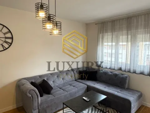 Rent, one bedroom apartment, 50m², Central Point, Podgorica - image 1