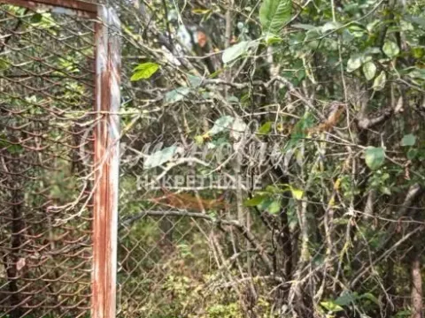 Prodaja, plac, 850m², Surčin, Beograd - image 13