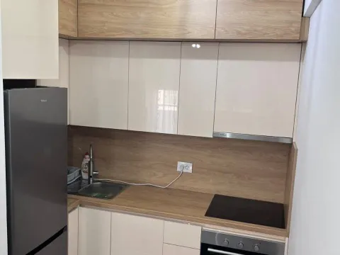 Izdavanje, jednosoban stan, 45m², Zabjelo, Podgorica - image 9