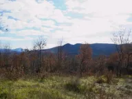 Sale, land lot, 9500m², Piperi, Podgorica - image 12