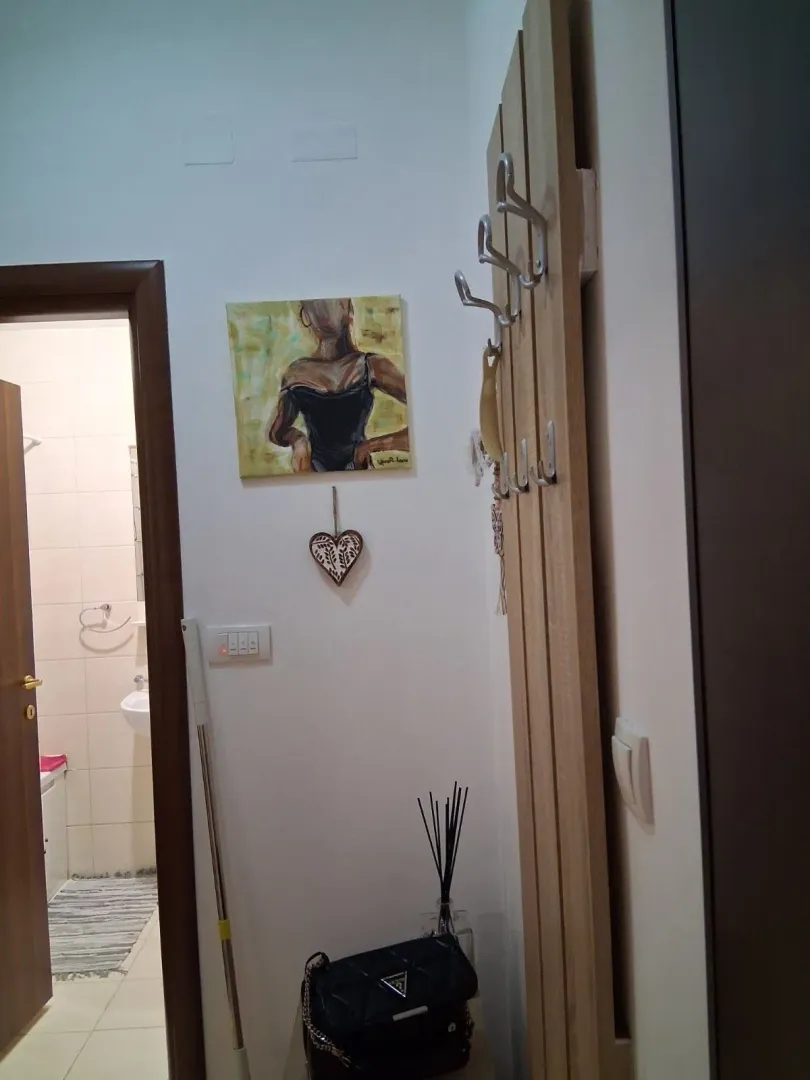 Izdavanje, jednosoban stan, 45m², Stari Aerodrom, Podgorica