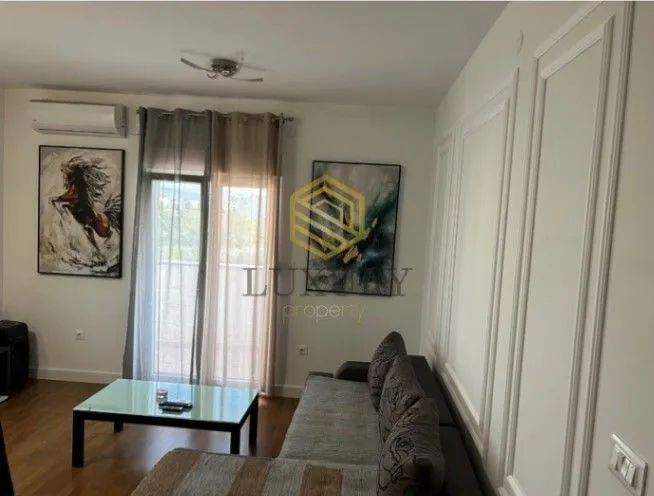 Rent, one bedroom apartment, 48m², Zabjelo, Podgorica