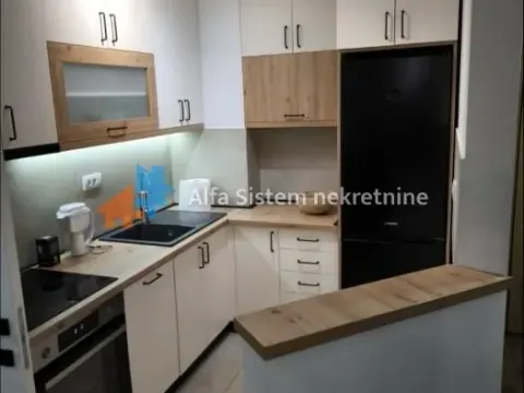 Izdavanje, trosoban stan, 60m², Južni Bulevar, Vračar Sve Podlokacije - image 9