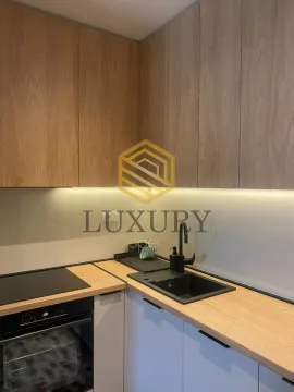 Rent, one bedroom apartment, 40m², Zabjelo, Podgorica - image 2