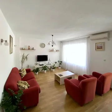 Spacious living room with red sofas, wooden flooring, and numerous houseplants. - image 7