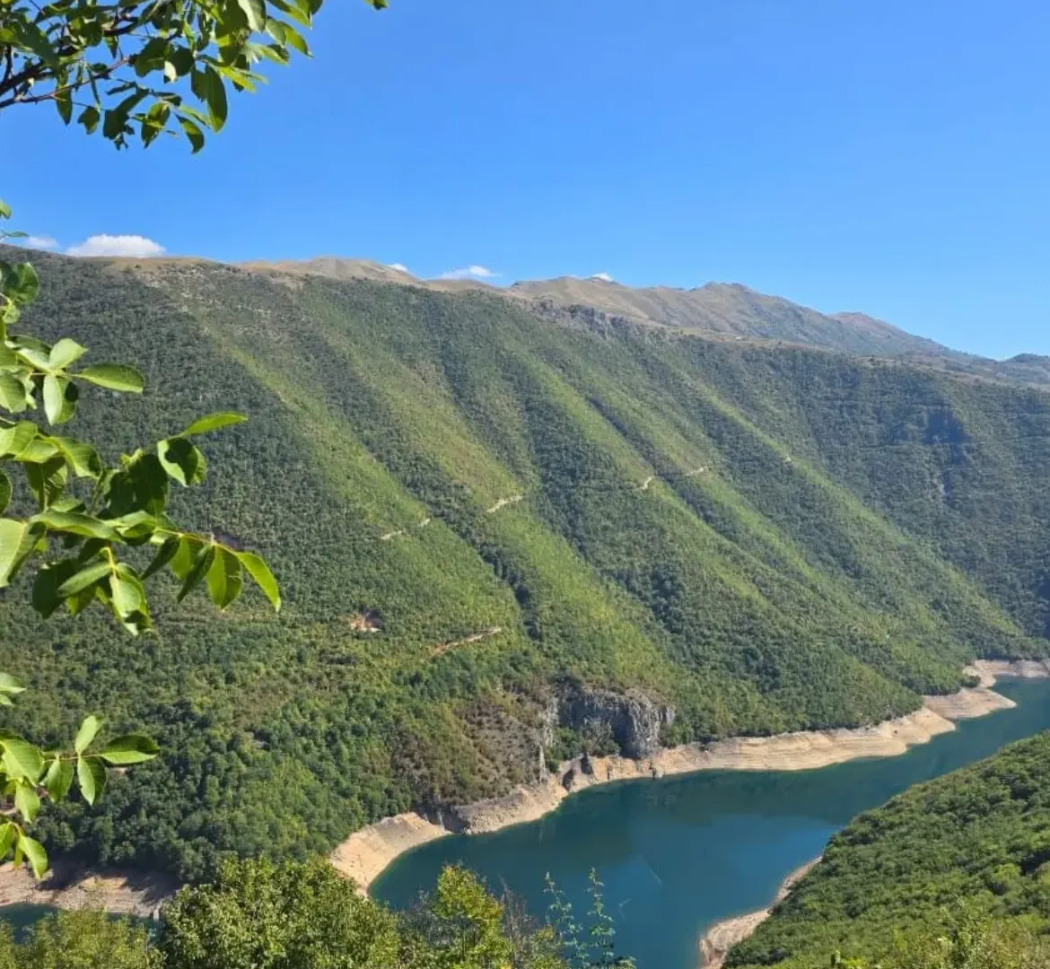 Prodaja, plac, 15000m², Donja Brezna, Plužine