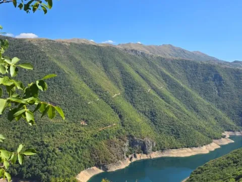 Prodaja, plac, 15000m², Donja Brezna, Plužine - image 2