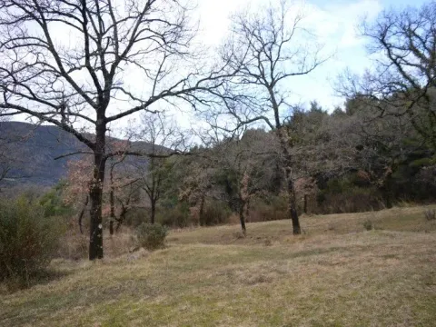 Sale, land lot, 9328m², Mojdež, Herceg Novi - image 5