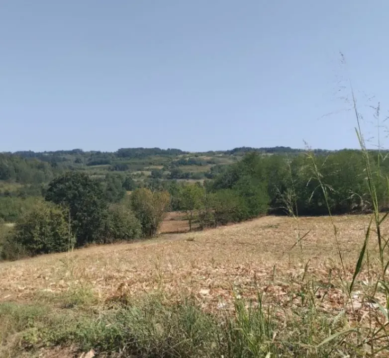 Sale, land lot, 13532m², Mala Ivanča, Sopot