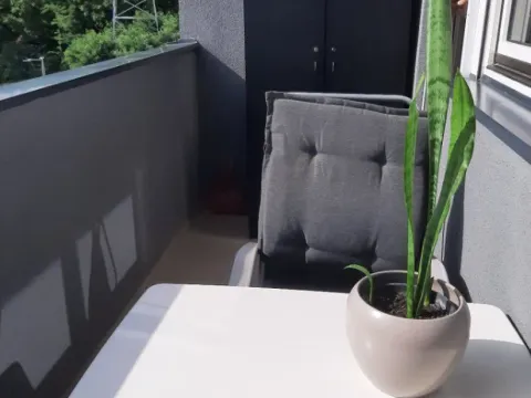 Prodaja, trosoban stan, 66m², Apelovac, Niš - image 9