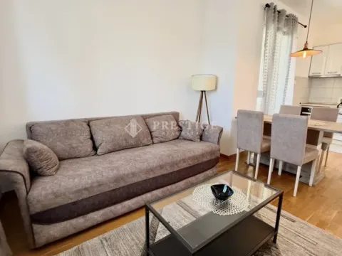 Rent, one bedroom apartment, 45m², City Kvart, Podgorica - image 2