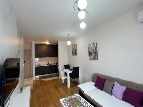 Prodaja, jednosoban stan, 40m², Central Point, Podgorica - image 2