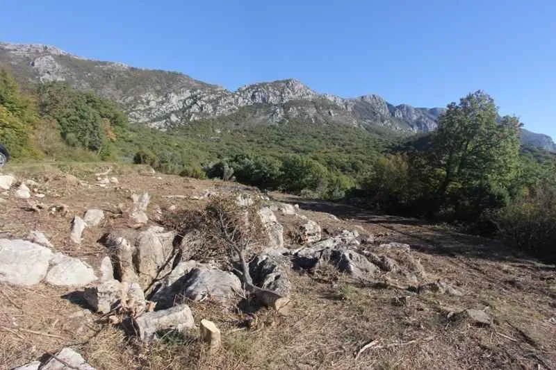 Pogled na zemljište sa kamenjem i zelenilom u prizemnom okruženju.