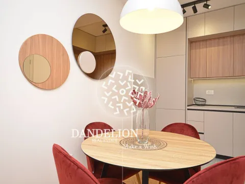 Izdavanje, jednosoban stan, 46m², Central Point, Podgorica - image 13