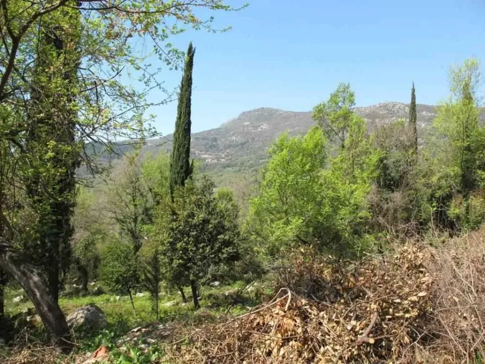 Prodaja, plac, 11502m², Herceg Novi, Crna Gora