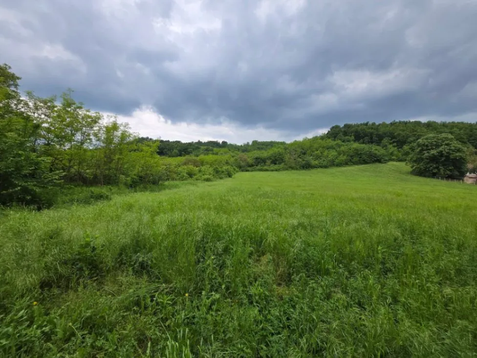 Prodaja, plac, 6700m², Vrčin, Grocka