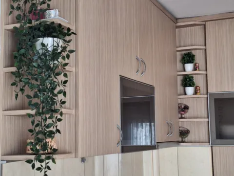 Prodaja, stan, 19m², Zabjelo, Podgorica - image 4