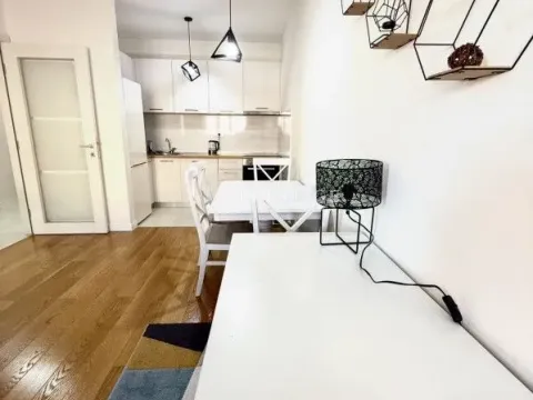 Rent, one bedroom apartment, 49m², Central Point, Podgorica - image 6