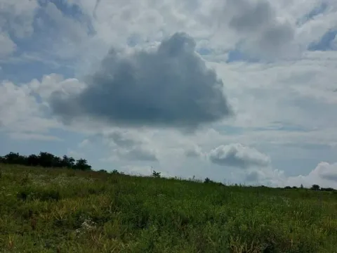 Prodaja, plac, 10000m², Višnjica, Palilula Sve Podlokacije - image 3