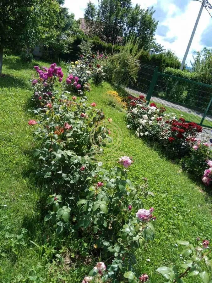 Uređeno dvorište sa travnjakom i raznim vrstama cveća.