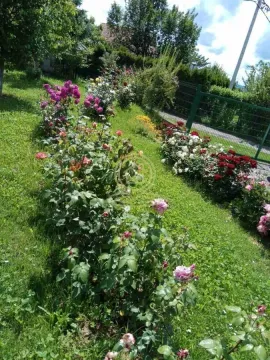 Uređeno dvorište sa travnjakom i raznim vrstama cveća. - image 3
