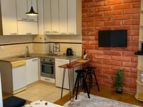 Daily-rent, studio apartment, 30m², Kod Big Fashion-a, Podgorica - image 9