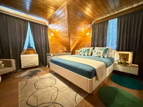 Prodaja, kuća, 270m², Petrovaradin, Novi Sad - image 58