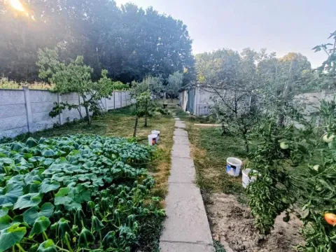 Dvorište sa baštom i stazom. - image 7