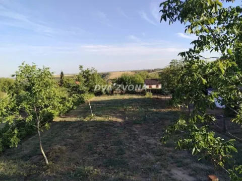 Pogled na zeleno dvorište i okolnu prirodu. - image 2