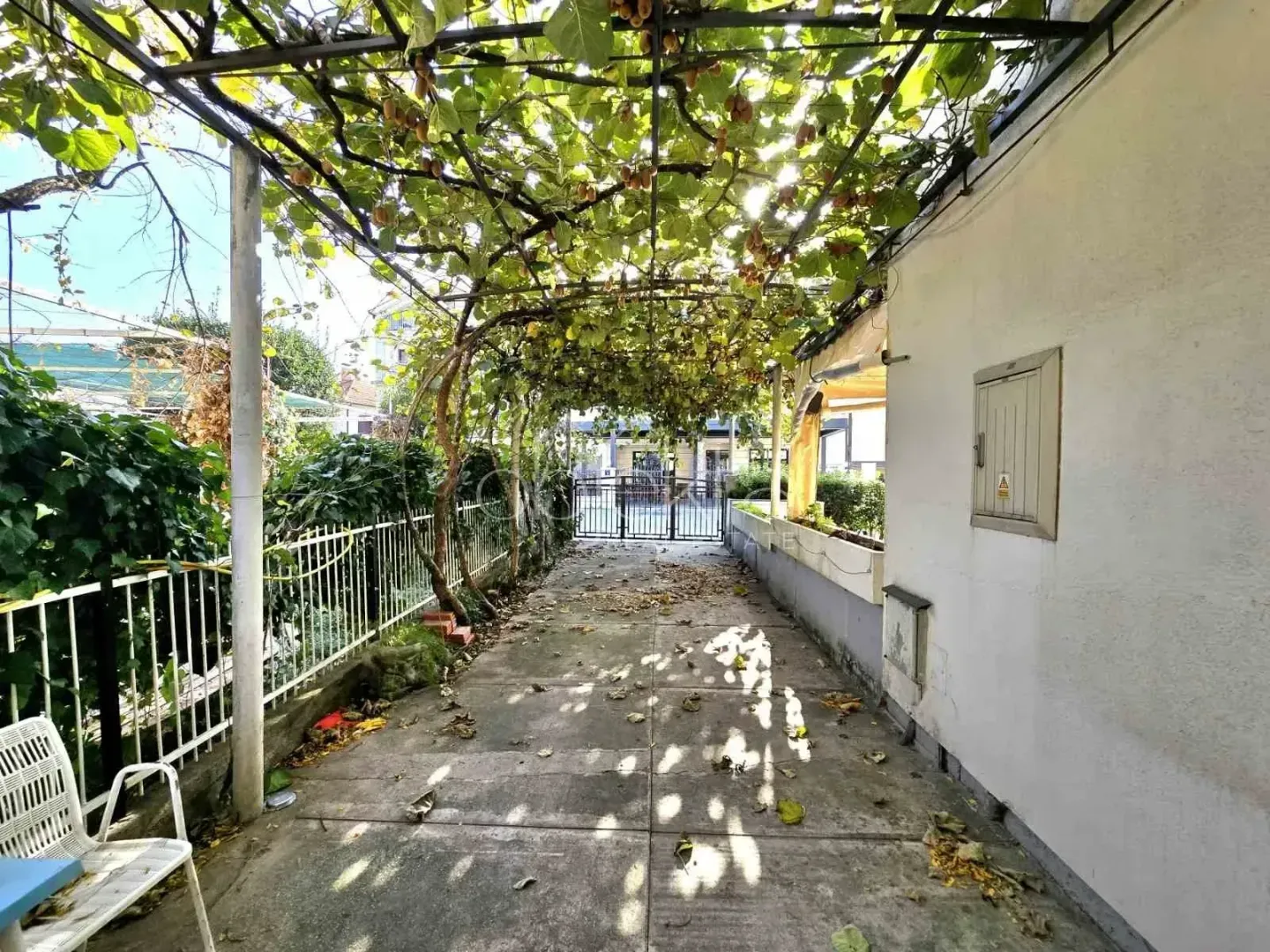 Popločano dvorište sa nadstrešnicom i zelenilom.