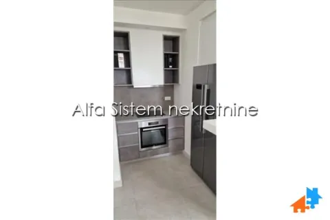 Manja opremljena kuhinja sa ugrađenim elementima i frižiderom. - image 10
