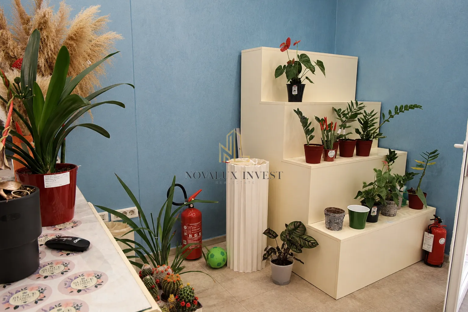 Rent, office space, 63m², Centar, Podgorica