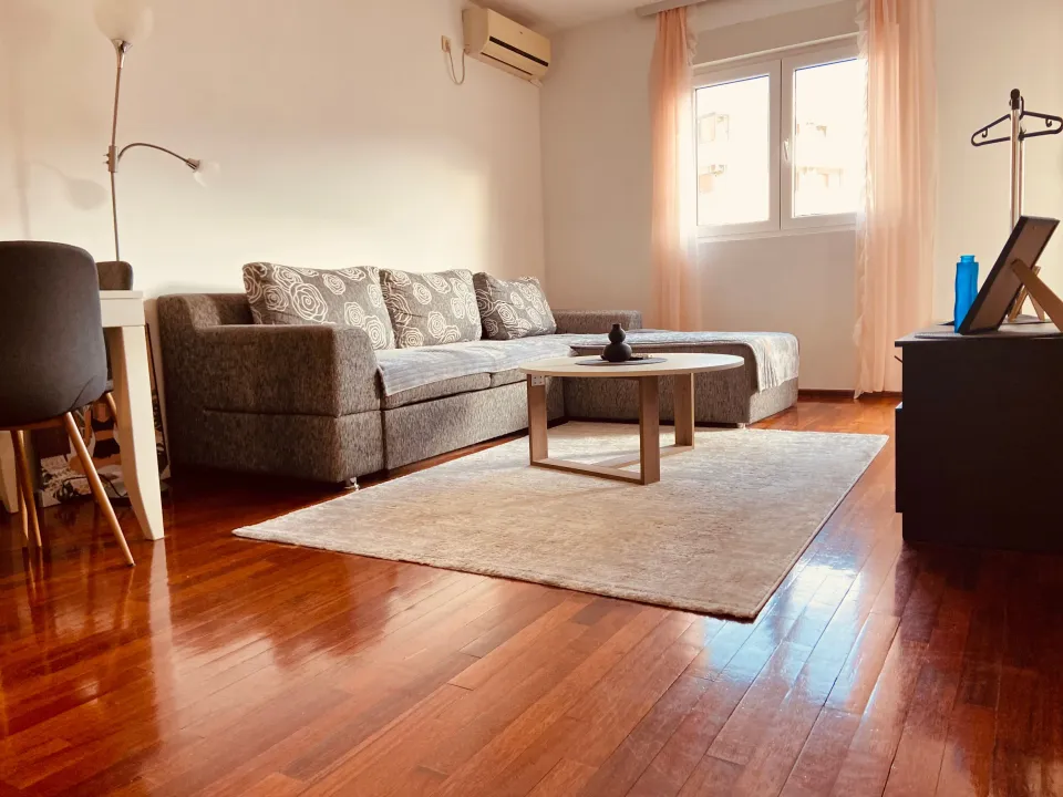 Rent, one bedroom apartment, 47m², Stari Aerodrom, Podgorica