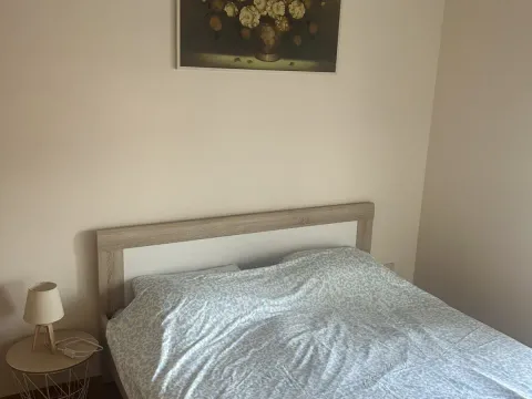 Izdavanje, jednosoban stan, 50m², Autobuska stanica, Podgorica - image 9