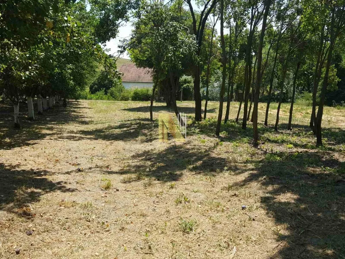 Prodaja, kuća, 65m², Čortanovci, Inđija
