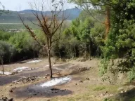 Sale, land lot, 43m², Dub, Kotor - image 7