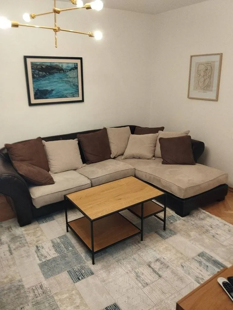 Izdavanje, jednosoban stan, 55m², Blok 6, Podgorica