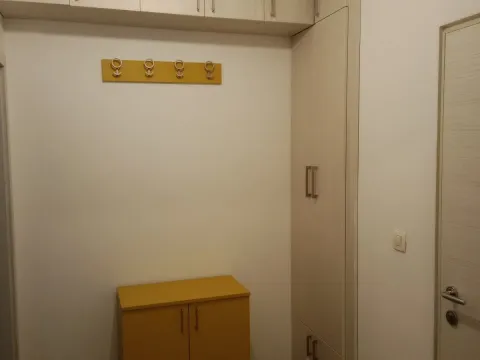 Izdavanje, jednosoban stan, 55m², Zabjelo, Podgorica - image 8