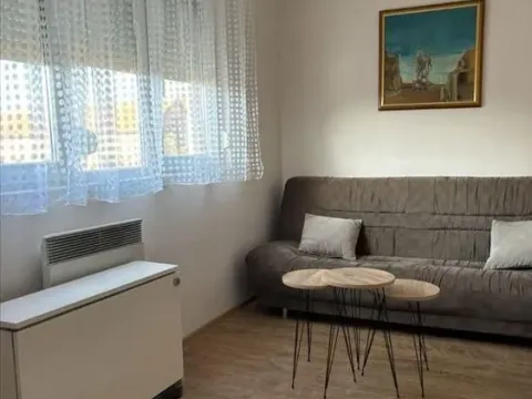 Rent, one bedroom apartment, 41m², Zemun Kalvarija, Zemun Sve Podlokacije - image 9