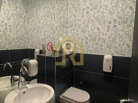 Izdavanje, poslovni prostor, 230m², Vračar Hram, Vračar Sve Podlokacije - image 8