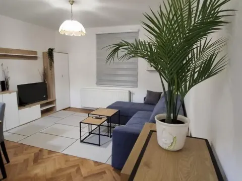 Rent, one bedroom apartment, 36m², Socijalno, Novi Sad Sve Podlokacije - image 2