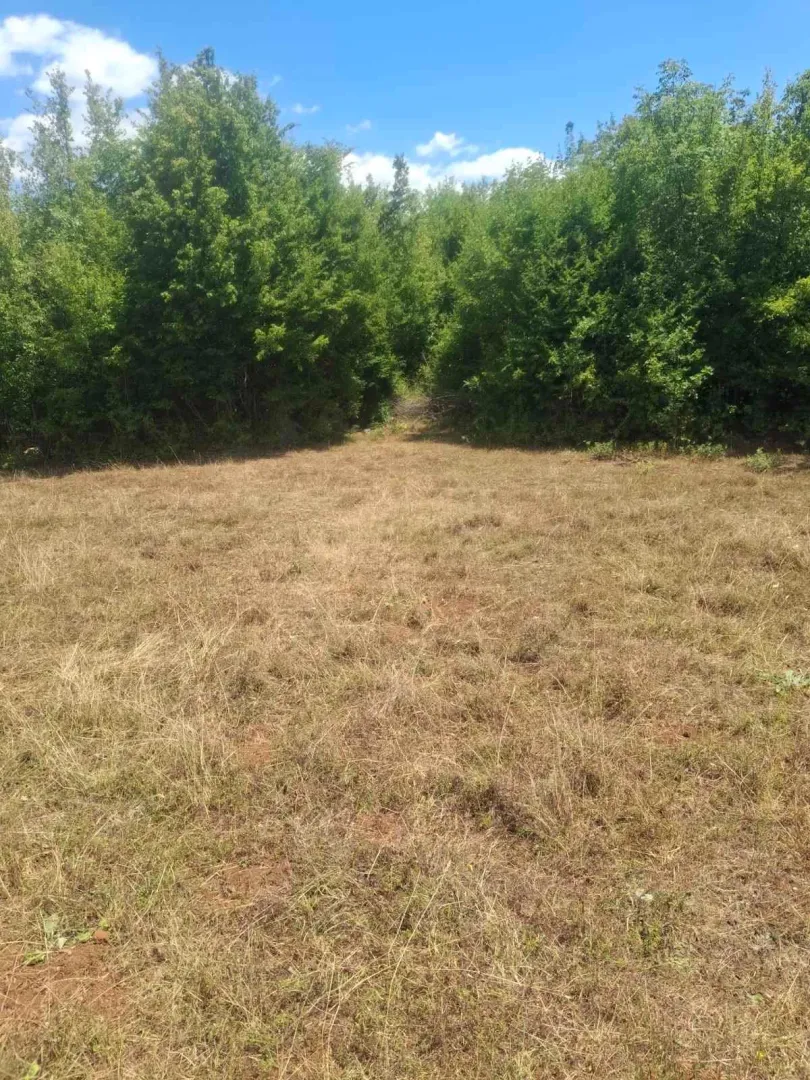 Sale, land lot, 80000m², Slap, Danilovgrad