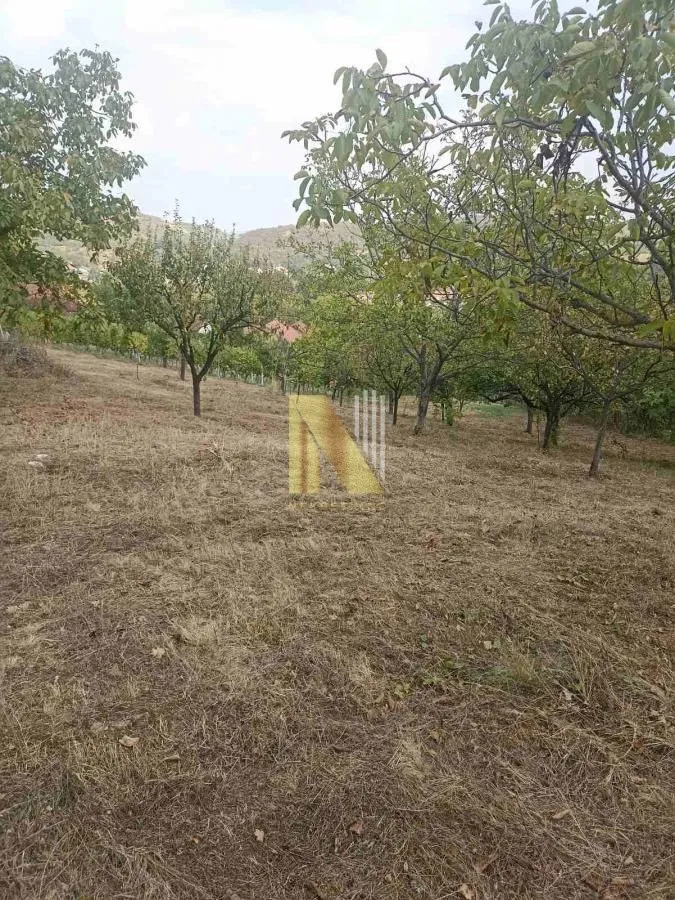 Prodaja, plac, 3922m², Beočin, Srbija