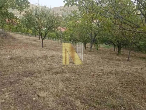 Prodaja, plac, 3900m², Beočin, Srbija - image 4