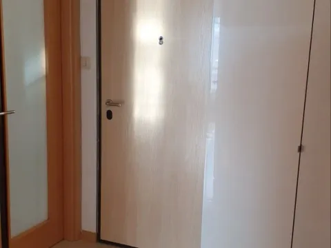 Rent, one bedroom apartment, 54m², Zabjelo, Podgorica - image 6