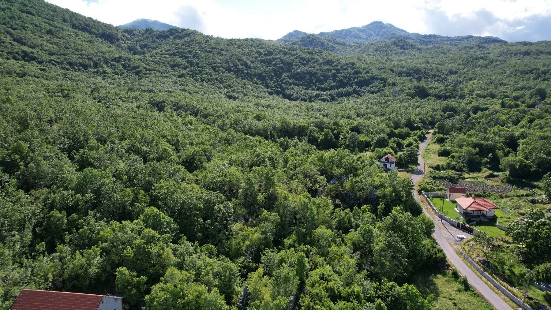 Sale, land lot, 35940m², Stanišići, Budva