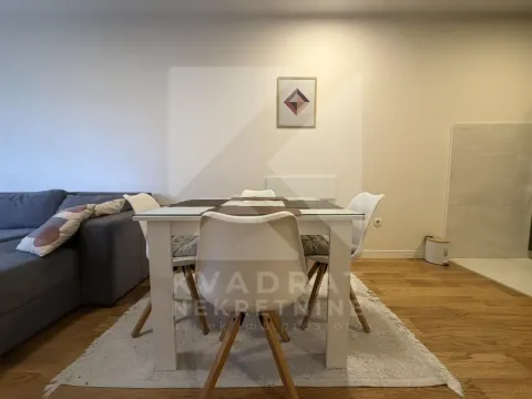 Izdavanje, jednosoban stan, 47m², Central Point, Podgorica - image 4